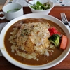 外見もオシャレでチーズケーキがうまいと評判の店でカレーを食す