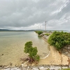 船浦湾干潟（沖縄県西表島）