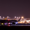 成田空港の夜景を撮影　さくらの山　　