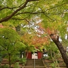 🍁千葉県松戸市　本土寺にまた行ってきました　２０２１年１１月下旬訪問です😊