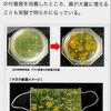 マスク）付けたマスクは、ばい菌だらけ