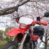 XR250〜山城へお花見