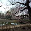 文庫の森