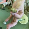 化石はおとなにも子どもにも人気です