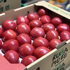 トマトに砂糖ってこんなに美味しかったの？と思った話