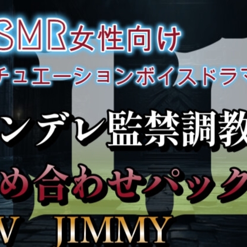 【同人ASMRレビュー】ヤンデレ調教監禁詰め合わせ  VOL11 僕は本気でお姉さんを監禁するよ。ほんとにいい?大丈夫?【JIMMY】