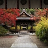 黄葉と紅葉の梨木神社