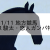 2023/11/11 地方競馬 高知競馬 9R 駿太・悠人ガンバ特別(C2)
