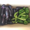 野菜をたくさんいただきました。