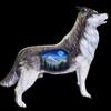 展示・販売用在庫彫刻　ハスキー犬　壁掛け