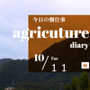 10月11日(火)　畑がぬかるんでいて軽作業のみ