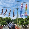 鶴岡八幡宮行ってきた！