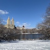 Happy First Snow❄️Central Park