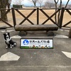 世界の名犬牧場に行ってきました