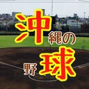 球場散策の日々⚾️