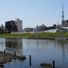 桜咲く前の旧中川探索