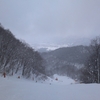 hakuba47