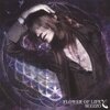 SUGIZO / FLOWER OF LIFE : 音楽の可能性を信じている