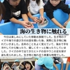 2024年11月8日 移動水族館でさわってみる