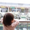 雨の日は水族館