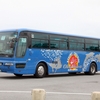沖縄バス / 沖縄22き ・508