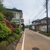 【グルメ】お店の地下の池で活きている鯉の洗いは絶品　～食事処　丸天　忍野八海 ～