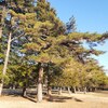 １．２２（木・晴れ）山上被告は日本の英雄。