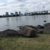 【ポケモンGoの進捗】お台場海浜公園を23km歩いた