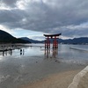 地元で仕入れる情報が最も有用