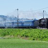 D51 200試運転とブルーインパルスを楽しむ