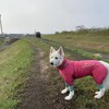 5月なのに寒すぎ