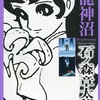 龍神沼 / 石ノ森章太郎という漫画を持っている人に  大至急読んで欲しい記事