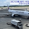 日本航空【エコノミークラス】成田からクアラルンプールへ★手ぶらでチェックイン★成田空港T2とフライトのレポート