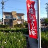 知立公園＠愛知県知立市のハナショウブを今年は「花しょうぶまつり」期間中に見に行った