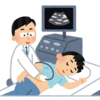 【メモ】健康診断の結果は脂肪肝