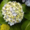 世界を広げよう