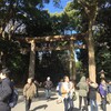 ここは東京のオアシス！明治神宮に参拝してきた‼