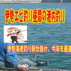 伊保エビ昼間の港内釣り