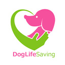 DogLifeSaving- 犬の紹介