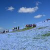 ひたち海浜公園の駐車場情報