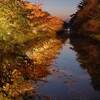 弘前城 菊と紅葉まつりはいつからいつまで？弘前城植物園ライトアップ 2024年｜見頃の時期、現在の状況、ライブカメラ、期間、時間、混雑状況、出店、アクセス、写真（青森県弘前市）
