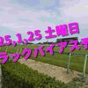 2025,1,25 土曜日 トラックバイアス予想 (中山競馬場　中京競馬場　小倉競馬場)
