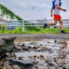 梅雨の終わりに