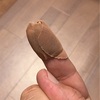 魚捌きで怪我した時に剥がれにくい絆創膏は欲しいところだ
