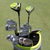 WITB｜デイビッド・デュバル｜2015-06-14｜FedEx St. Jude Classic