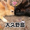 【大久野島】もふもふウサギ天国★ちょっとドローン【うさぎ島】