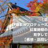 【京都観光】伊藤若冲プロデュースの石仏！紅葉時期の石峰寺を見学してきました【感想・訪問レポート】