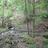 奥多摩・小川谷滝谷