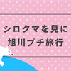シロクマを見にプチ旅行｜旭川までJR55％オフで行ってきました