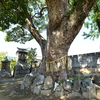 勾金（まがりかね）神社　福岡県田川郡香春町